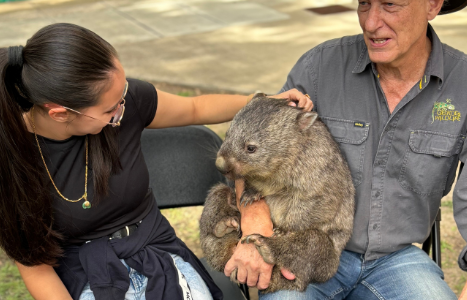 student patting a wombat